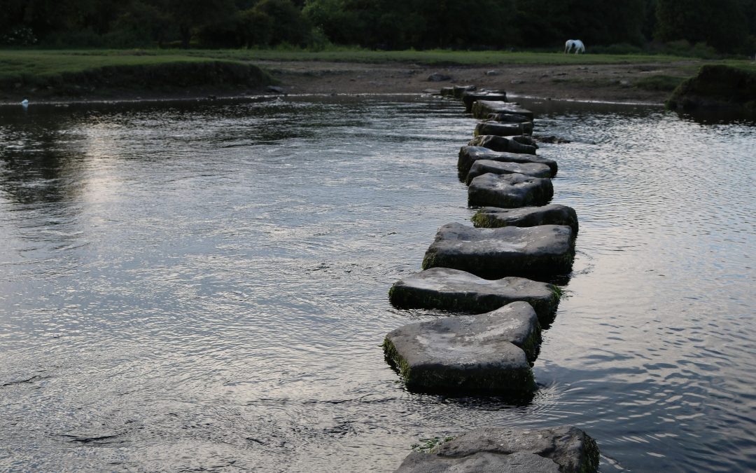 10 Stages of the Procurement Lifecycle