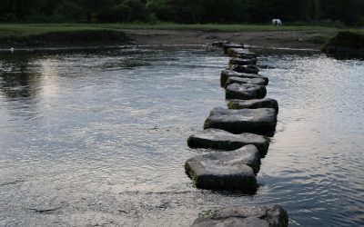 10 Stages of the Procurement Lifecycle