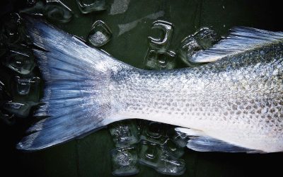 What is Tail-End Spend and Best Practices to Manage it Effectively