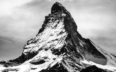 4 Major Challenges for CPOs in 2018