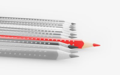 How To Choose The Right Supplier For Your Business?